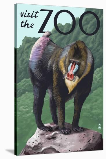 Visit the Zoo, Mandrill Scene-Lantern Press-Stretched Canvas