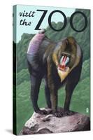 Visit the Zoo, Mandrill Scene-Lantern Press-Stretched Canvas