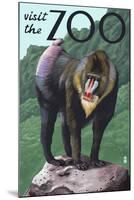 Visit the Zoo, Mandrill Scene-Lantern Press-Mounted Art Print