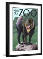 Visit the Zoo, Mandrill Scene-Lantern Press-Framed Art Print