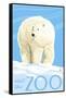 Visit the Zoo, Polar Bear Solo-Lantern Press-Framed Stretched Canvas