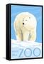 Visit the Zoo, Polar Bear Solo-Lantern Press-Framed Stretched Canvas