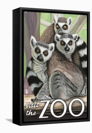 Visit the Zoo, Ring Tailed Lemurs-Lantern Press-Framed Stretched Canvas