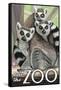 Visit the Zoo, Ring Tailed Lemurs-Lantern Press-Framed Stretched Canvas