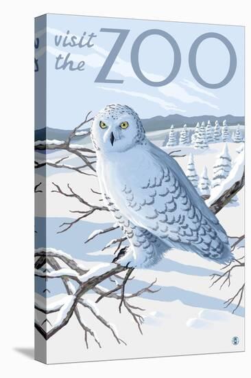 Visit the Zoo, Snowy Owl Scene-Lantern Press-Stretched Canvas