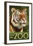 Visit the Zoo, Sumatran Tiger Scene-Lantern Press-Framed Art Print