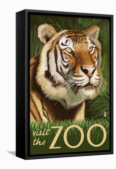 Visit the Zoo, Sumatran Tiger Scene-Lantern Press-Framed Stretched Canvas