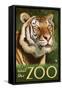 Visit the Zoo, Sumatran Tiger Scene-Lantern Press-Framed Stretched Canvas