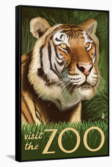 Visit the Zoo, Sumatran Tiger Scene-Lantern Press-Framed Stretched Canvas