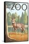 Visit the Zoo, White Tailed Deer Scene-Lantern Press-Framed Stretched Canvas