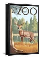 Visit the Zoo, White Tailed Deer Scene-Lantern Press-Framed Stretched Canvas