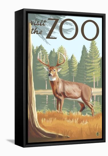 Visit the Zoo, White Tailed Deer Scene-Lantern Press-Framed Stretched Canvas