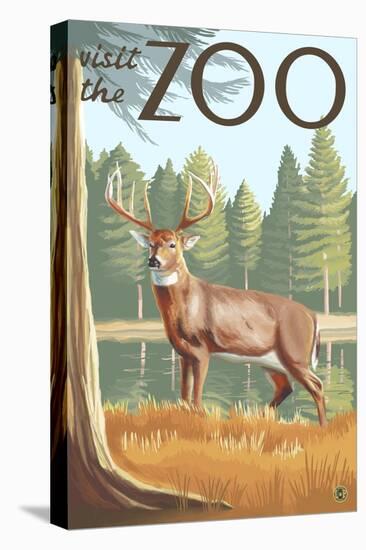 Visit the Zoo, White Tailed Deer Scene-Lantern Press-Stretched Canvas