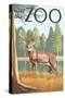 Visit the Zoo, White Tailed Deer Scene-Lantern Press-Stretched Canvas