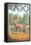 Visit the Zoo, White Tailed Deer Scene-Lantern Press-Framed Stretched Canvas