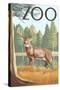 Visit the Zoo, White Tailed Deer Scene-Lantern Press-Stretched Canvas