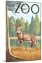 Visit the Zoo, White Tailed Deer Scene-Lantern Press-Mounted Art Print