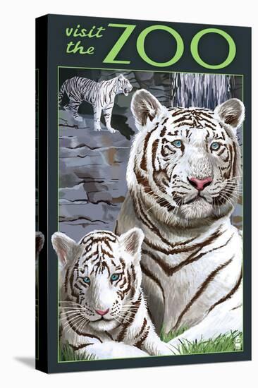 Visit the Zoo - White Tiger Family-Lantern Press-Stretched Canvas