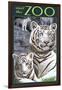 Visit the Zoo - White Tiger Family-Lantern Press-Framed Premium Giclee Print