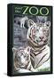 Visit the Zoo - White Tiger Family-Lantern Press-Framed Stretched Canvas