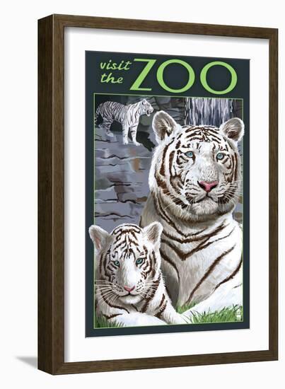 Visit the Zoo - White Tiger Family-Lantern Press-Framed Art Print