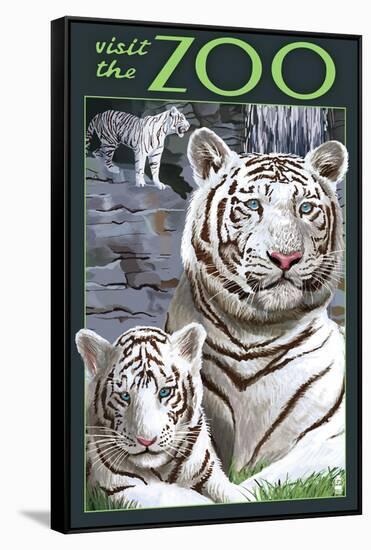 Visit the Zoo - White Tiger Family-Lantern Press-Framed Stretched Canvas