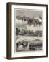 Visit to a Royal Stud Farm, at Wolferton, Near Sandringham-Joseph Holland Tringham-Framed Giclee Print