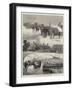 Visit to a Royal Stud Farm, at Wolferton, Near Sandringham-Joseph Holland Tringham-Framed Giclee Print