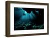 Visit to Aliens-Dmitriy Yevtushyk-Framed Photographic Print