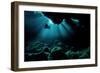 Visit to Aliens-Dmitriy Yevtushyk-Framed Photographic Print