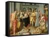 Visitation, Meeting of Mary and Elizabeth in the Presence of Saints Joseph and Jerome-Pellegrino Tibaldi-Framed Stretched Canvas