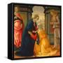 Visitation, with Maria Jakobaea and Maria Salome, 1491-Domenico Ghirlandaio-Framed Stretched Canvas