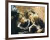 Visiting College-Tranquillo Cremona-Framed Giclee Print