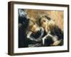 Visiting College-Tranquillo Cremona-Framed Giclee Print