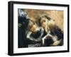 Visiting College-Tranquillo Cremona-Framed Giclee Print