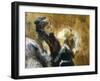 Visiting College-Tranquillo Cremona-Framed Giclee Print