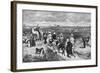 Visiting the Pyramids-Walter Paget-Framed Art Print