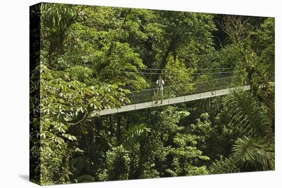 Visitor at Arenal Hanging Bridges Where Rainforest Canopy Is Accessed Via Walkways-Rob Francis-Stretched Canvas