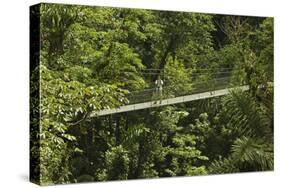 Visitor at Arenal Hanging Bridges Where Rainforest Canopy Is Accessed Via Walkways-Rob Francis-Stretched Canvas