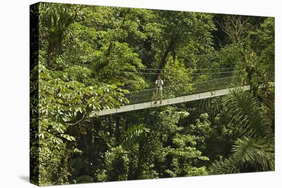 Visitor at Arenal Hanging Bridges Where Rainforest Canopy Is Accessed Via Walkways-Rob Francis-Stretched Canvas