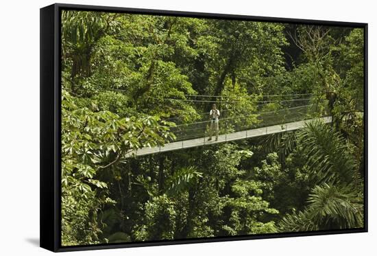 Visitor at Arenal Hanging Bridges Where Rainforest Canopy Is Accessed Via Walkways-Rob Francis-Framed Stretched Canvas