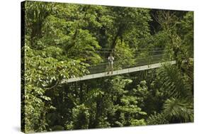 Visitor at Arenal Hanging Bridges Where Rainforest Canopy Is Accessed Via Walkways-Rob Francis-Stretched Canvas