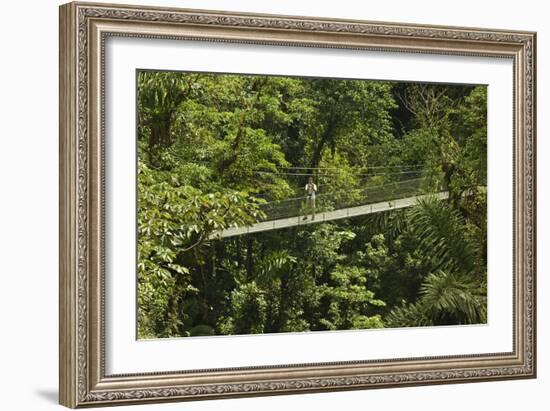 Visitor at Arenal Hanging Bridges Where Rainforest Canopy Is Accessed Via Walkways-Rob Francis-Framed Photographic Print