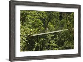 Visitor at Arenal Hanging Bridges Where Rainforest Canopy Is Accessed Via Walkways-Rob Francis-Framed Photographic Print