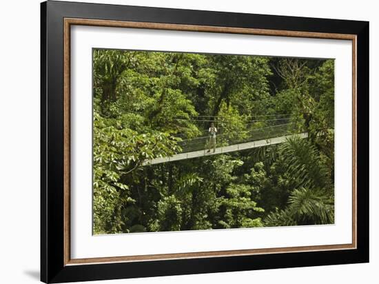 Visitor at Arenal Hanging Bridges Where Rainforest Canopy Is Accessed Via Walkways-Rob Francis-Framed Photographic Print