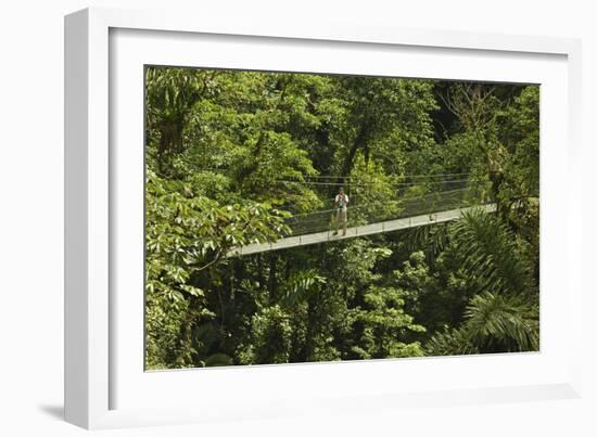 Visitor at Arenal Hanging Bridges Where Rainforest Canopy Is Accessed Via Walkways-Rob Francis-Framed Photographic Print