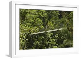 Visitor at Arenal Hanging Bridges Where Rainforest Canopy Is Accessed Via Walkways-Rob Francis-Framed Photographic Print