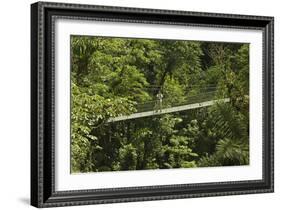 Visitor at Arenal Hanging Bridges Where Rainforest Canopy Is Accessed Via Walkways-Rob Francis-Framed Photographic Print