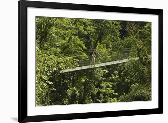 Visitor at Arenal Hanging Bridges Where Rainforest Canopy Is Accessed Via Walkways-Rob Francis-Framed Photographic Print