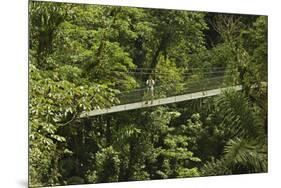 Visitor at Arenal Hanging Bridges Where Rainforest Canopy Is Accessed Via Walkways-Rob Francis-Mounted Photographic Print